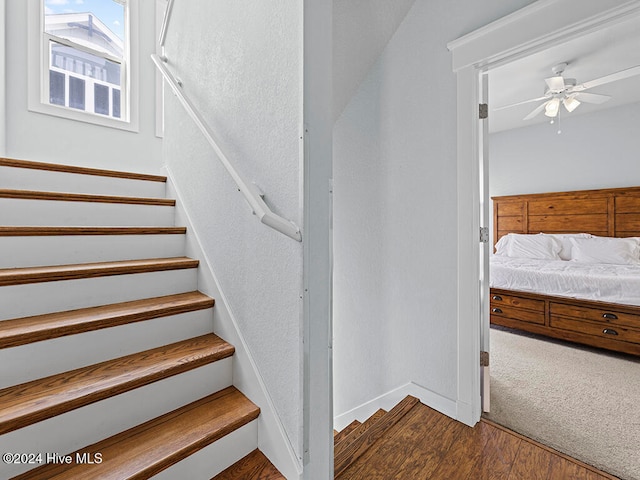 stairway featuring ceiling fan and wood-type flooring