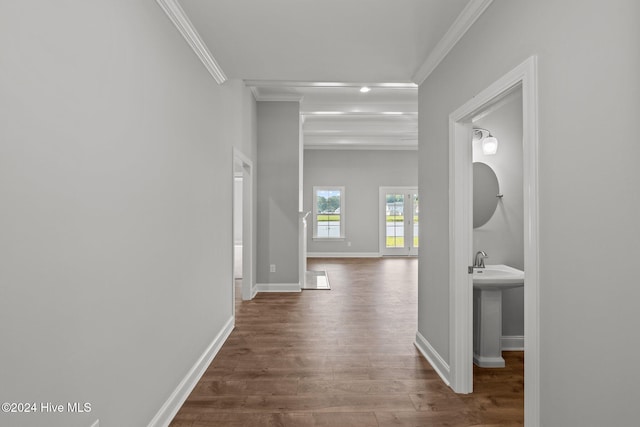 hallway featuring sink, crown molding, and hardwood / wood-style floors