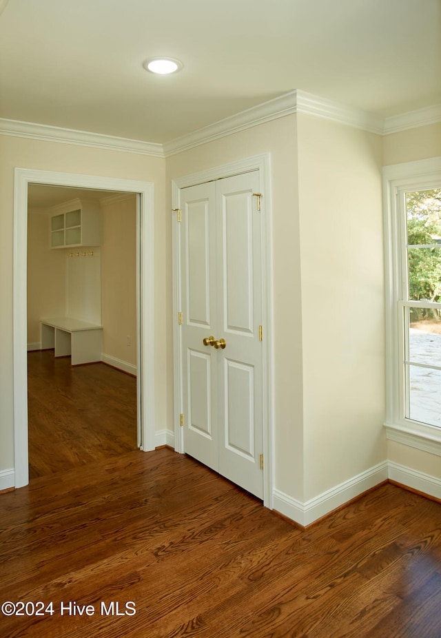 hall featuring crown molding and dark wood-type flooring