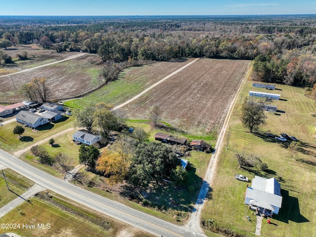 125 Plina Ln, Beulaville NC, 28518 land for sale