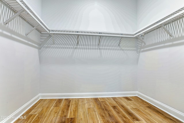 spacious closet with wood-type flooring