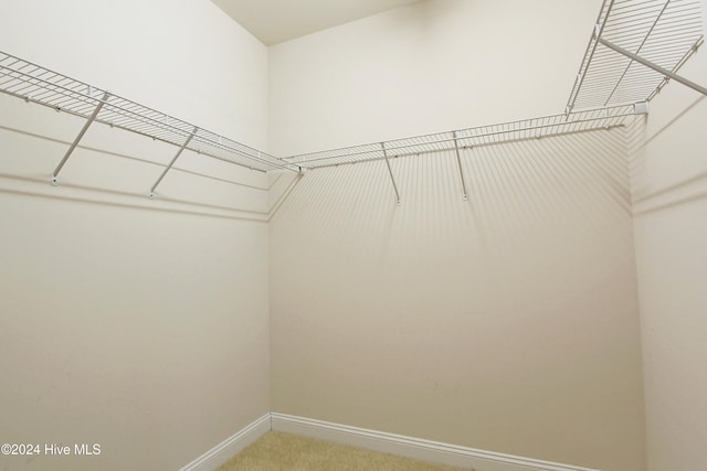 walk in closet with carpet