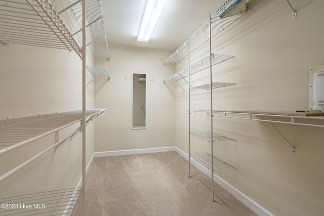 walk in closet with light colored carpet