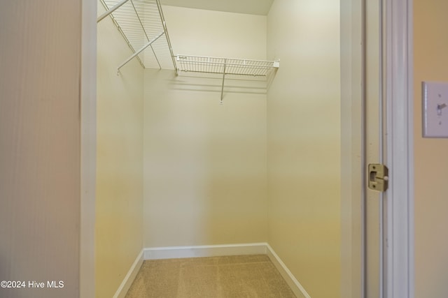 walk in closet with carpet