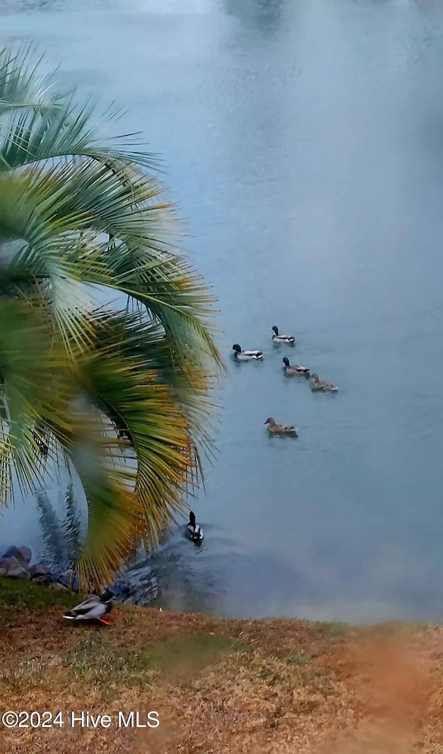 view of water feature