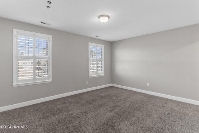 empty room with a wealth of natural light and carpet floors