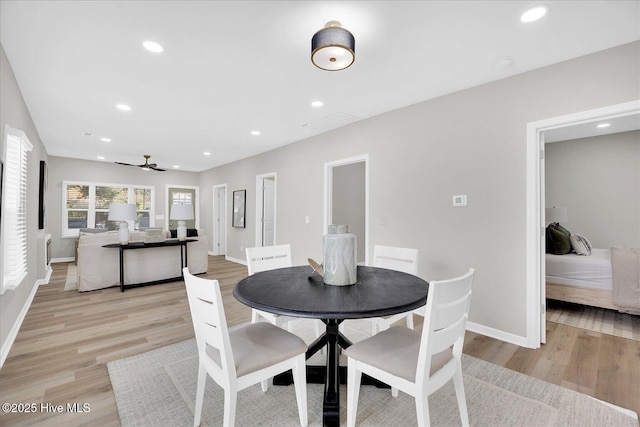 dining space with ceiling fan and light hardwood / wood-style flooring