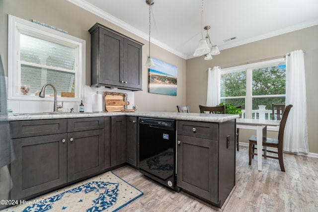 kitchen featuring dark brown cabinetry, light hardwood / wood-style floors, hanging light fixtures, and black dishwasher