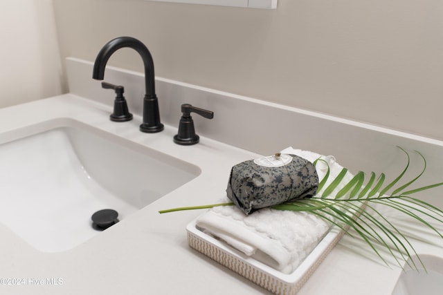 interior details with a sink