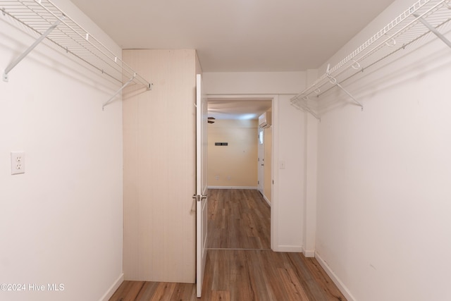 walk in closet with wood-type flooring