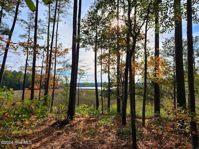 227 Youpon Dr, Hubert NC, 28539 land for sale