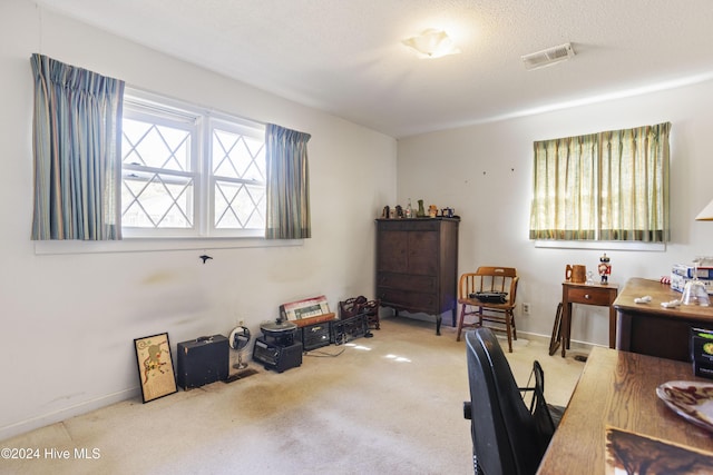 office space featuring carpet floors and a textured ceiling