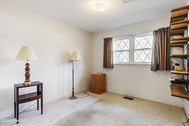 miscellaneous room featuring light colored carpet