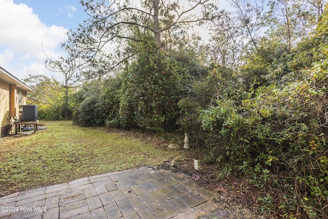 view of yard featuring central AC and a patio