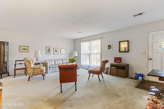 carpeted living room featuring a textured ceiling