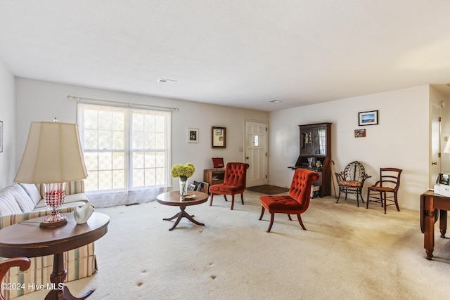 living room featuring light colored carpet