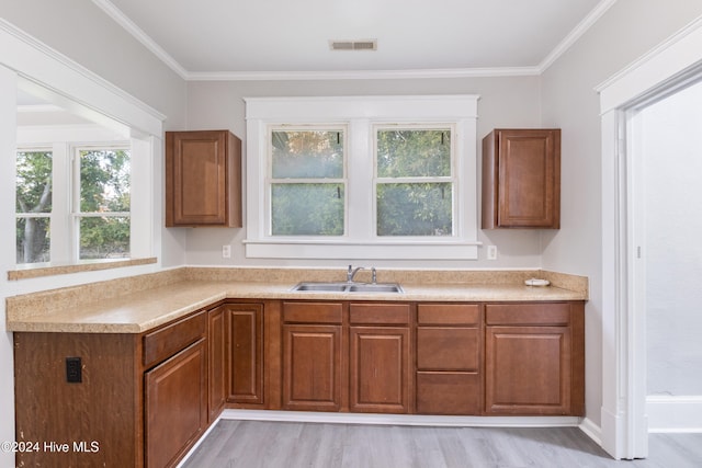 kitchen featuring light wood-type flooring, sink, and ornamental molding