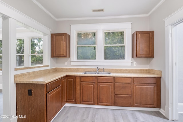 kitchen with light hardwood / wood-style flooring, crown molding, and sink