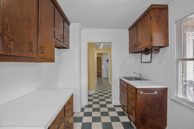 kitchen featuring sink, a healthy amount of sunlight, a textured ceiling, and ornamental molding