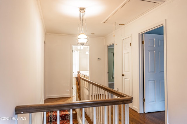 102 James Creek Rd, Southern Pines, NC 28387 - hallway featuring attic access, ornamental molding, and dark wood-type flooring