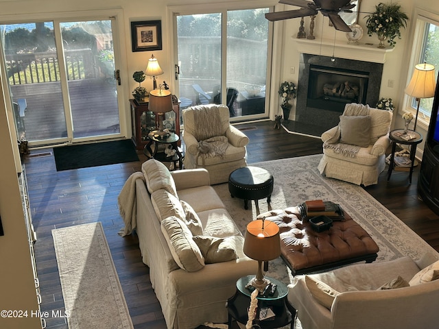 living room with dark wood-type flooring, a healthy amount of sunlight, and a premium fireplace