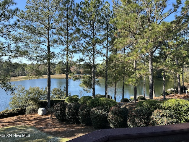 view of water feature