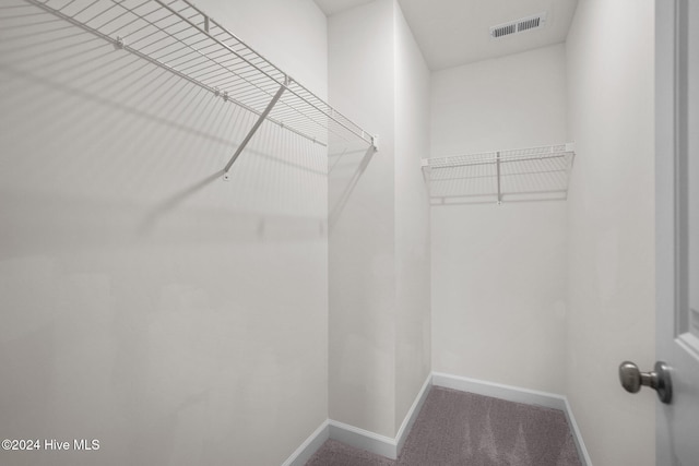 walk in closet featuring carpet flooring