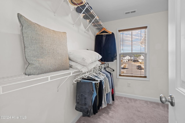 spacious closet with light colored carpet