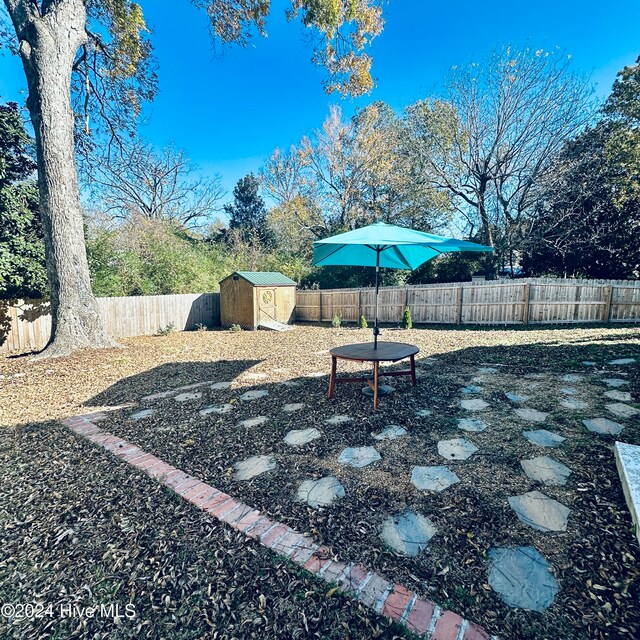 view of yard with a storage shed