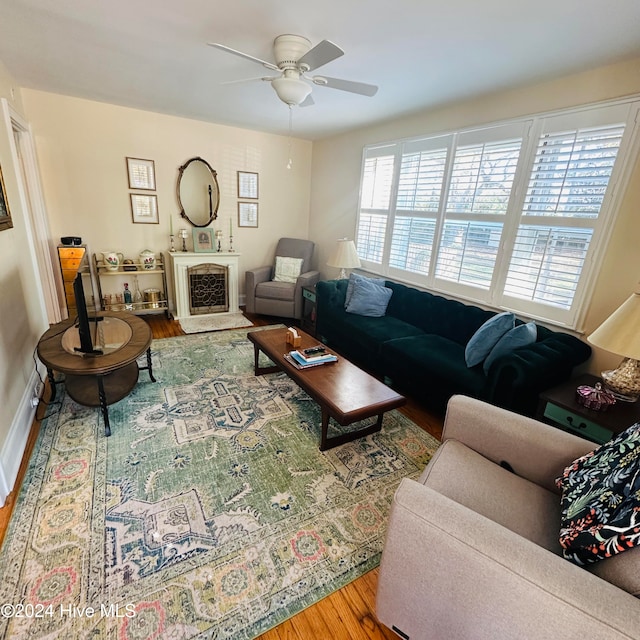 living room with ceiling fan and wood-type flooring