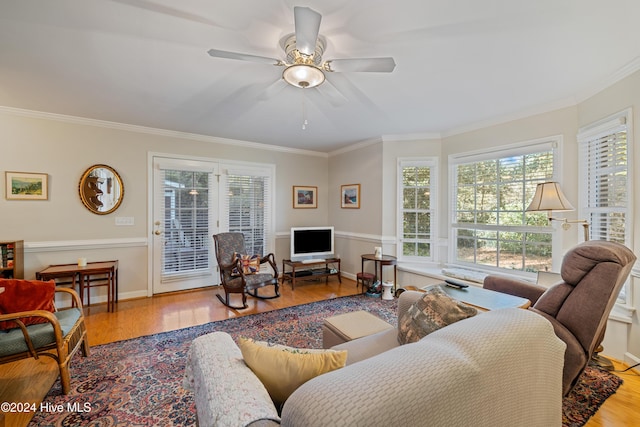 living room with ceiling fan, ornamental molding, and light wood-type flooring