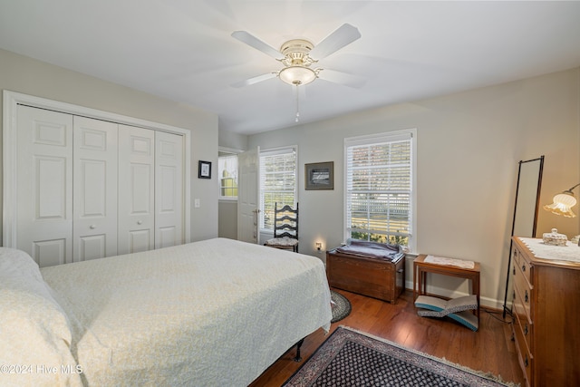 bedroom with a closet, ceiling fan, and hardwood / wood-style floors