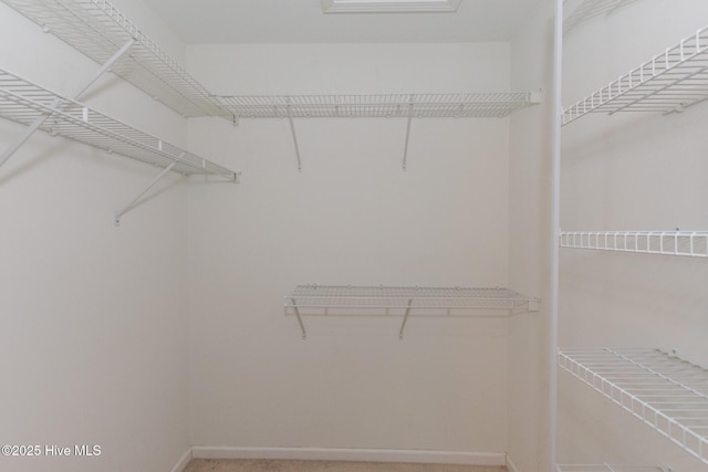 view of spacious closet