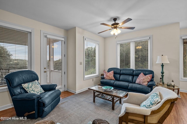 living room with ceiling fan and light wood-type flooring