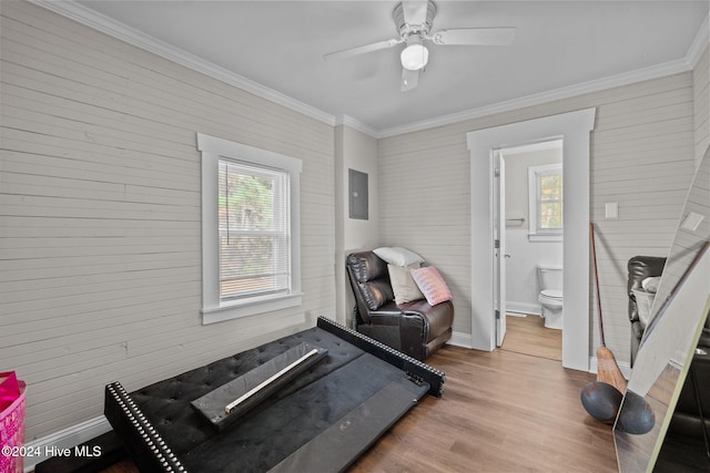 exercise area with a wealth of natural light, hardwood / wood-style floors, ceiling fan, and ornamental molding