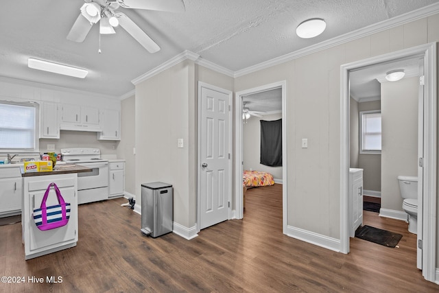 kitchen with white range with electric cooktop, a healthy amount of sunlight, white cabinetry, and dark wood-type flooring