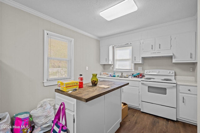 kitchen featuring butcher block countertops, white cabinets, a healthy amount of sunlight, and white electric stove