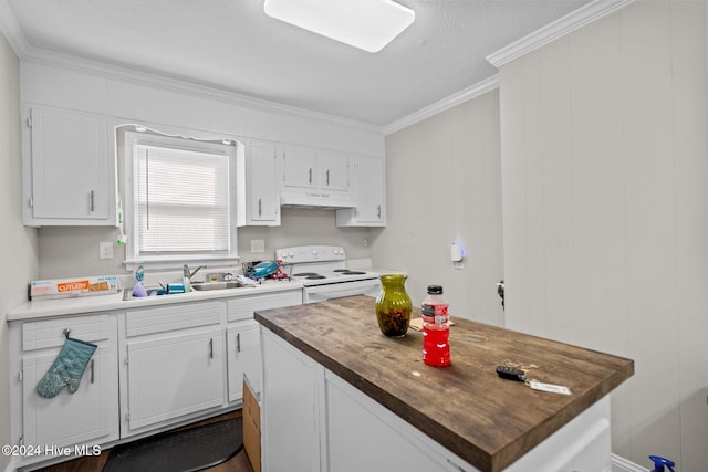 kitchen with electric range, sink, white cabinetry, and crown molding