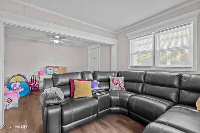 living room featuring dark hardwood / wood-style floors, ceiling fan, and ornamental molding