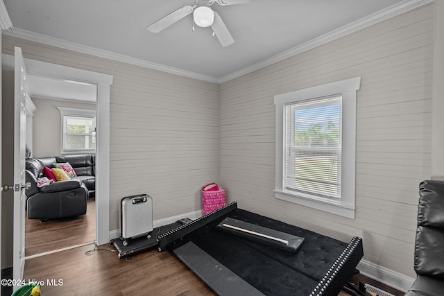 workout area with crown molding, ceiling fan, and dark wood-type flooring