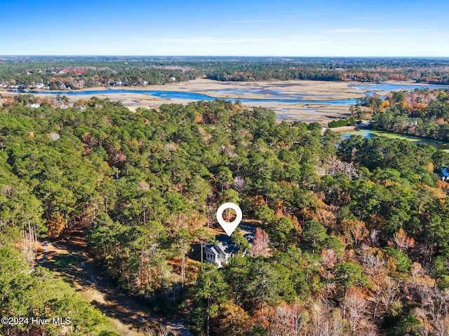 bird's eye view featuring a view of trees and a water view