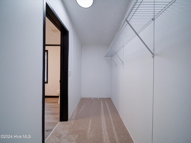 walk in closet with light colored carpet