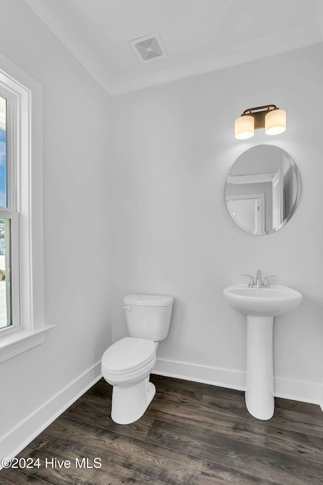 bathroom featuring sink, wood-type flooring, and toilet