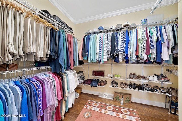 walk in closet with wood-type flooring