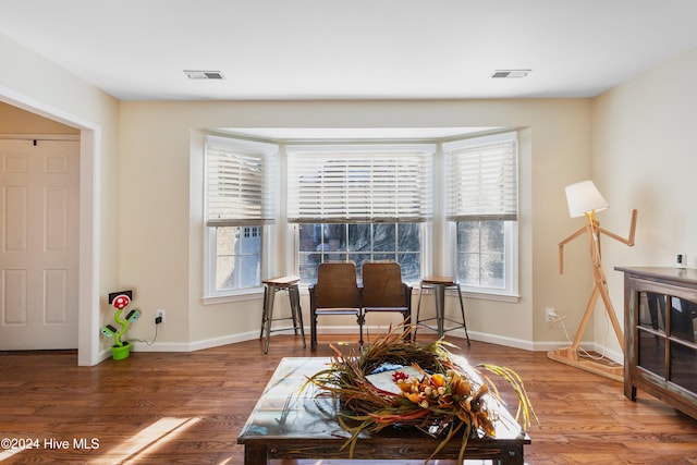 living area featuring hardwood / wood-style floors and a healthy amount of sunlight