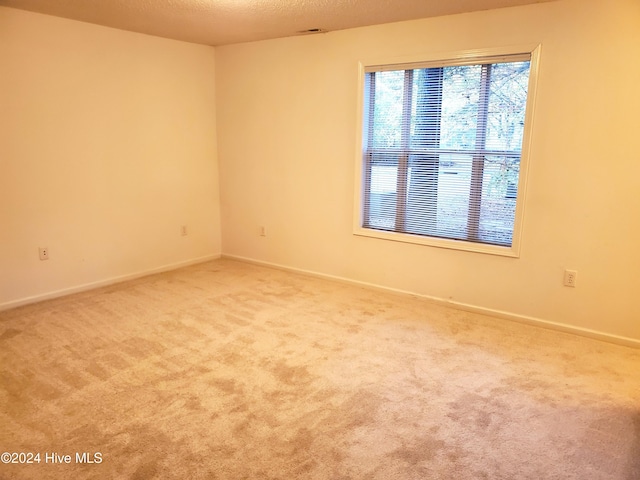 walk in closet featuring carpet floors