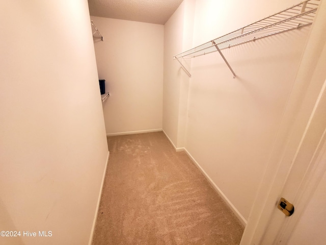 walk in closet featuring carpet floors