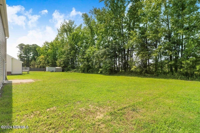 view of yard with a storage shed