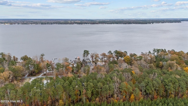 property view of water