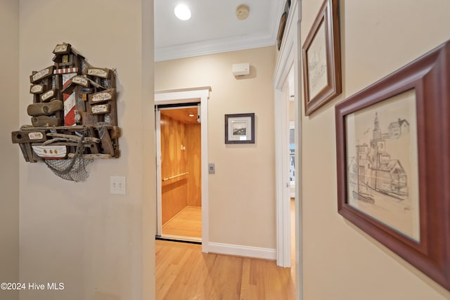 corridor with ornamental molding and light hardwood / wood-style flooring